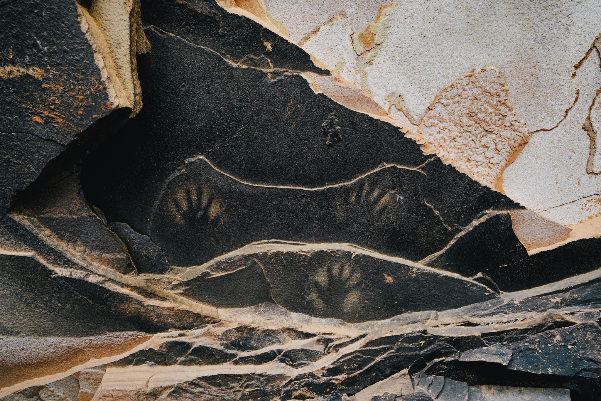 photos of bears ears national monument